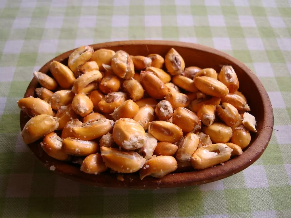 Cancha Salada – El aperitivo favorito de Perú de todos los tiempos